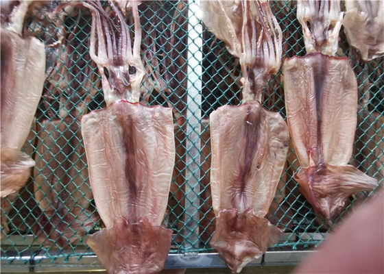 quality Calamar secado inteiro maioria do marisco 80g 90g para o restaurante factory
